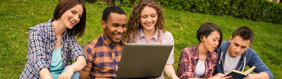 A group of college students studying at a park