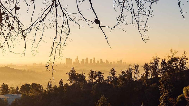 Evening View of city